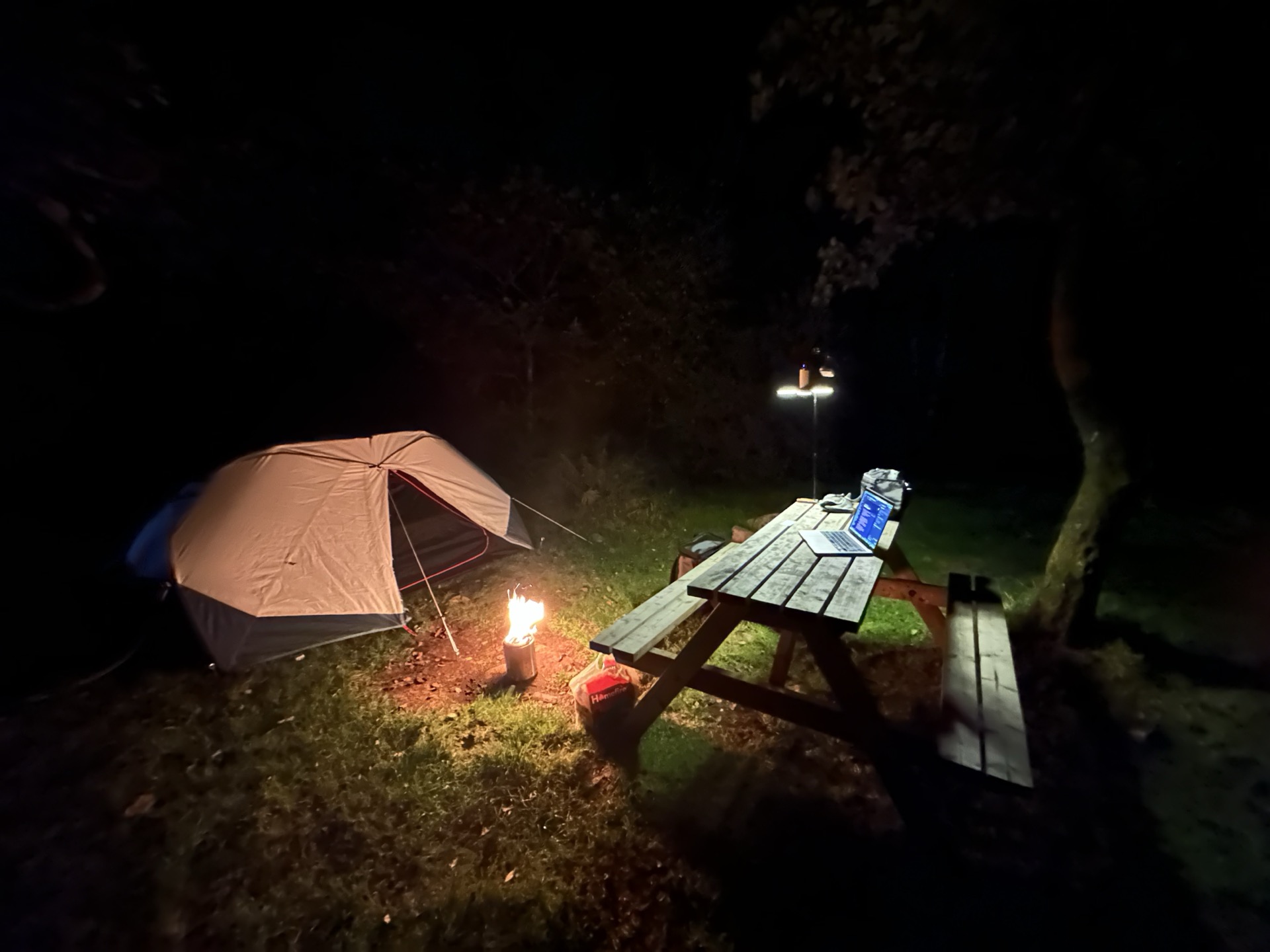Two-person tent, stove and picnic table lit at night in woodland at Red Squirrel Campsite
