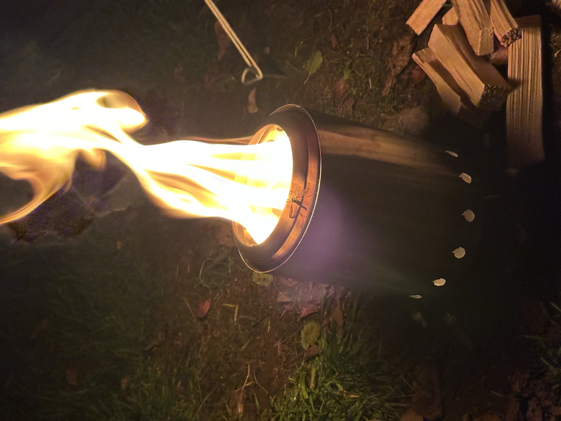 Close-up of a camping stove with a highland midge on the rim